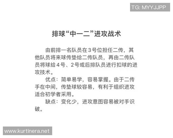 上海排球队中路突破的战术解析与训练策略深度剖析 上海排球队中路突破的战术解析与训练策略深度剖析