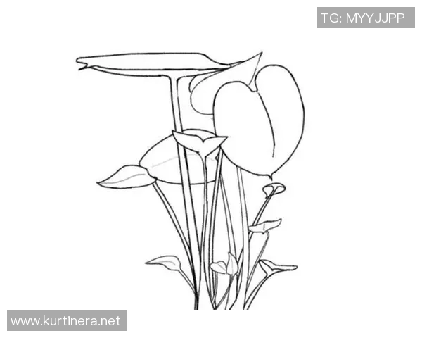 足球明星简笔画教程让你轻松绘制心仪球星的钢笔艺术作品 足球明星简笔画教程让你轻松绘制心仪球星的钢笔艺术作品