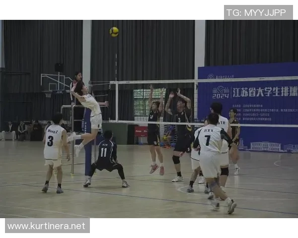 聚焦排球：广州排球队的团队协作话题