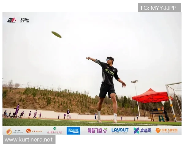 张伟独家：分享飞盘心得