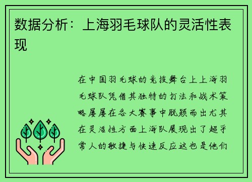 数据分析：上海羽毛球队的灵活性表现