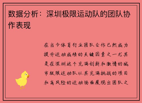 数据分析：深圳极限运动队的团队协作表现