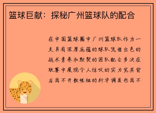 篮球巨献：探秘广州篮球队的配合